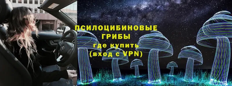 Псилоцибиновые грибы MAGIC MUSHROOMS  даркнет сайт  Болхов 